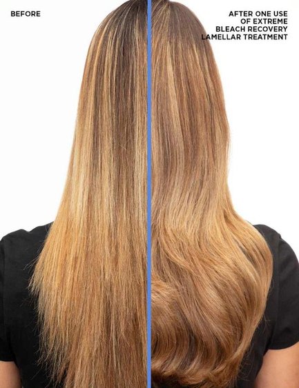 Redken Extreme Bleach Recovery Before and After